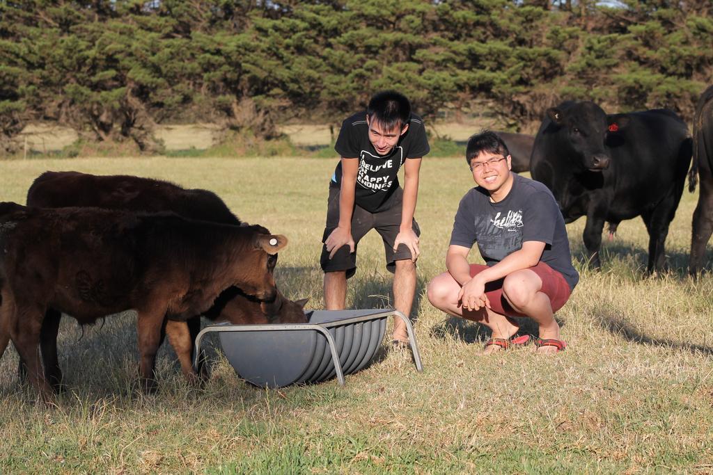 Bimbadeen Phillip Island Farm Retreats Ventnor 외부 사진